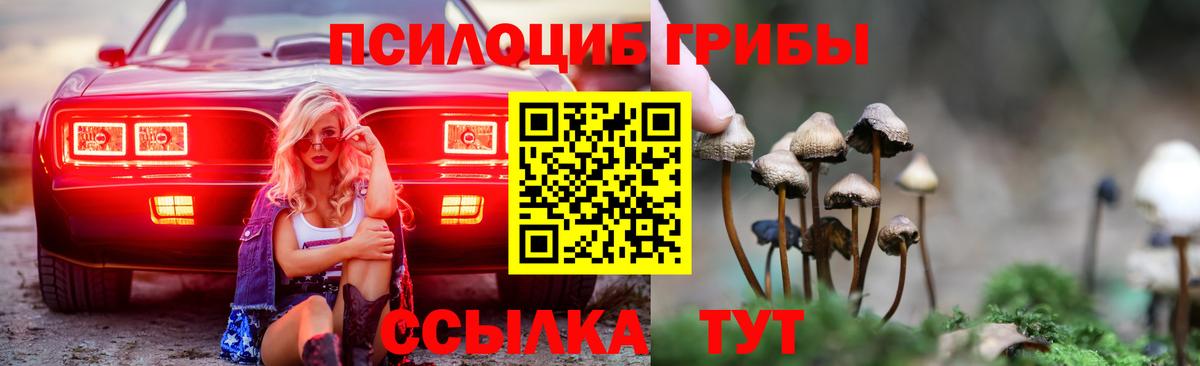 Семилуки  Псилоцибиновые грибы мухоморы  Вход с VPN  Галлюциногенные грибы мухоморы 